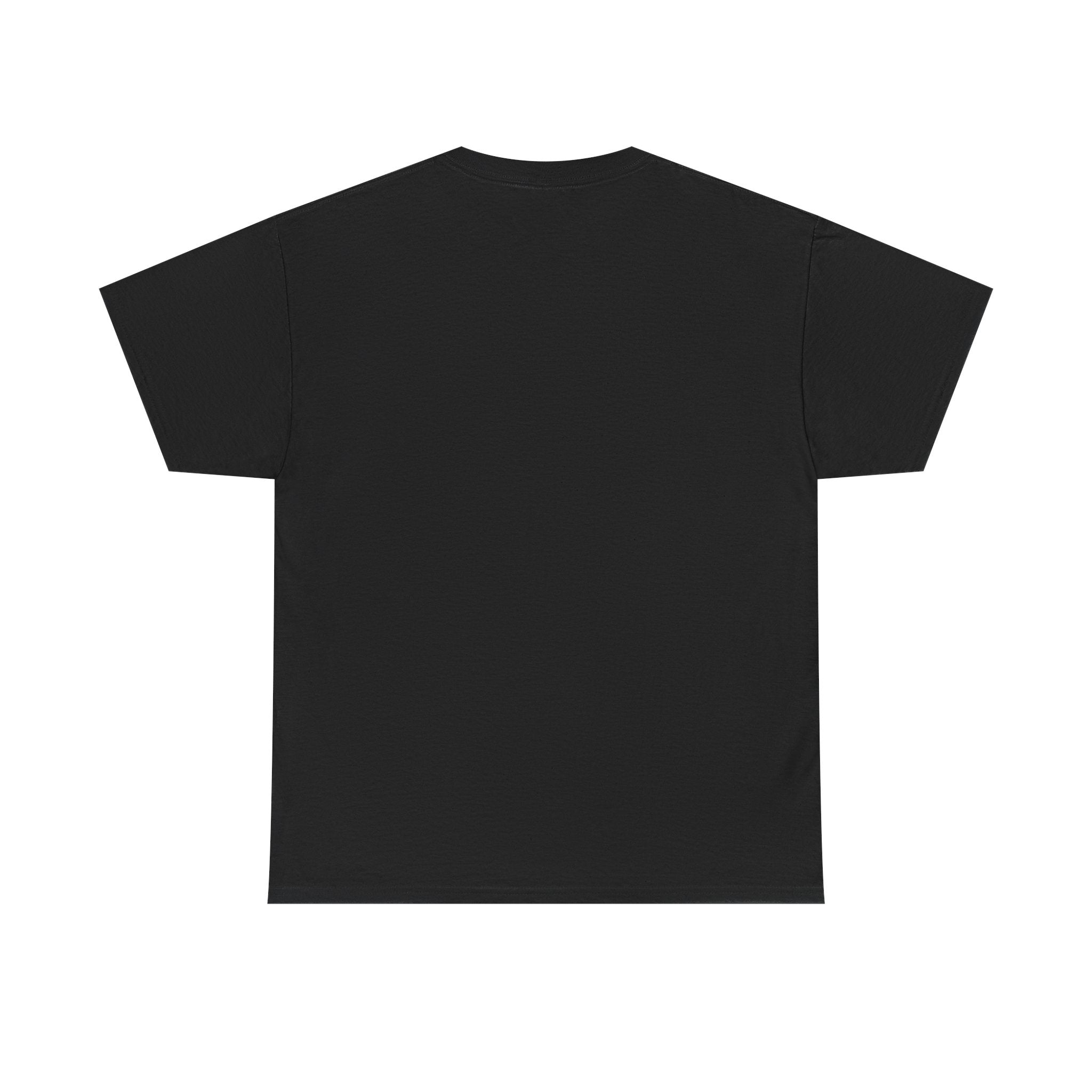 Da Vinci Unisex Heavy Cotton Tee