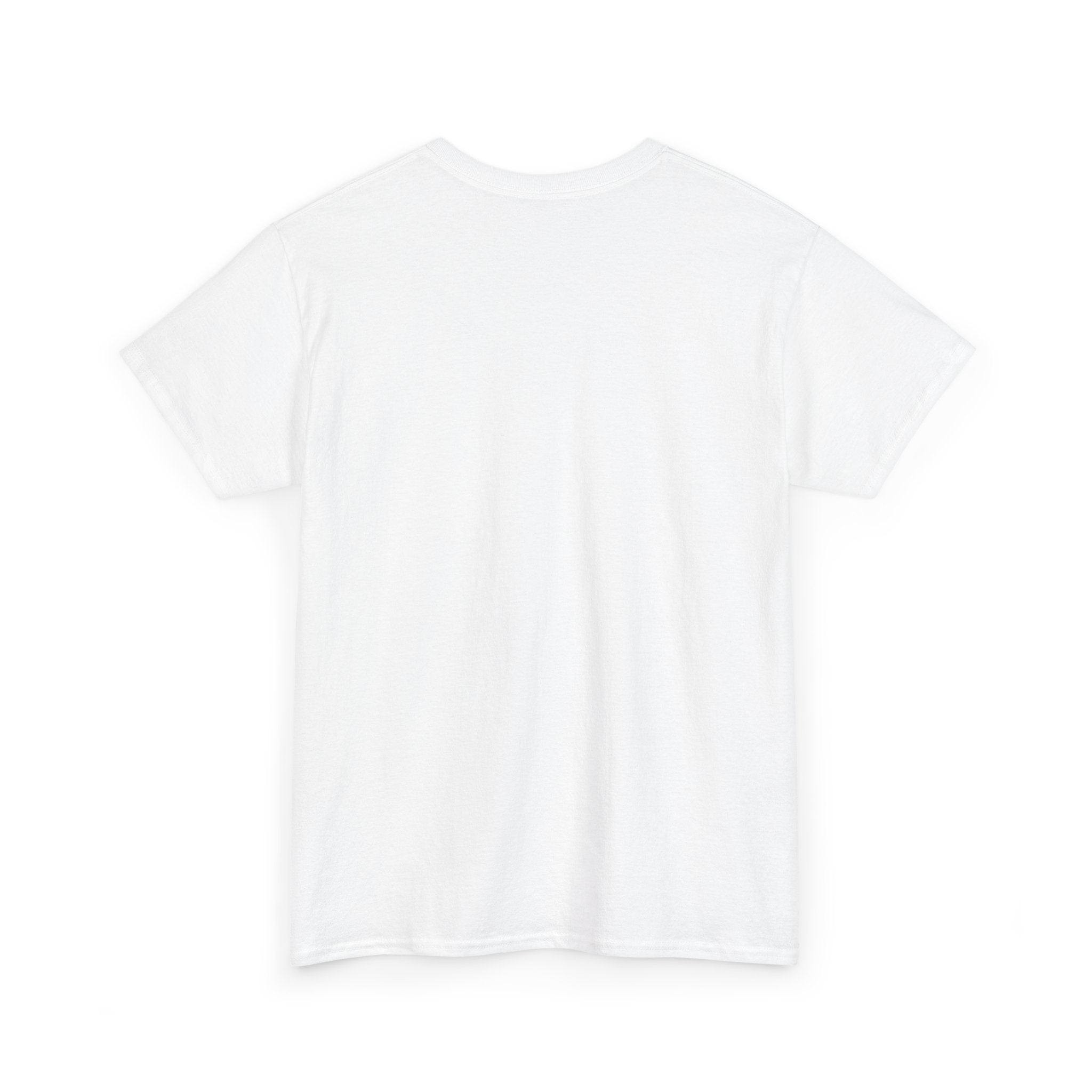 Da Vinci Unisex Heavy Cotton Tee