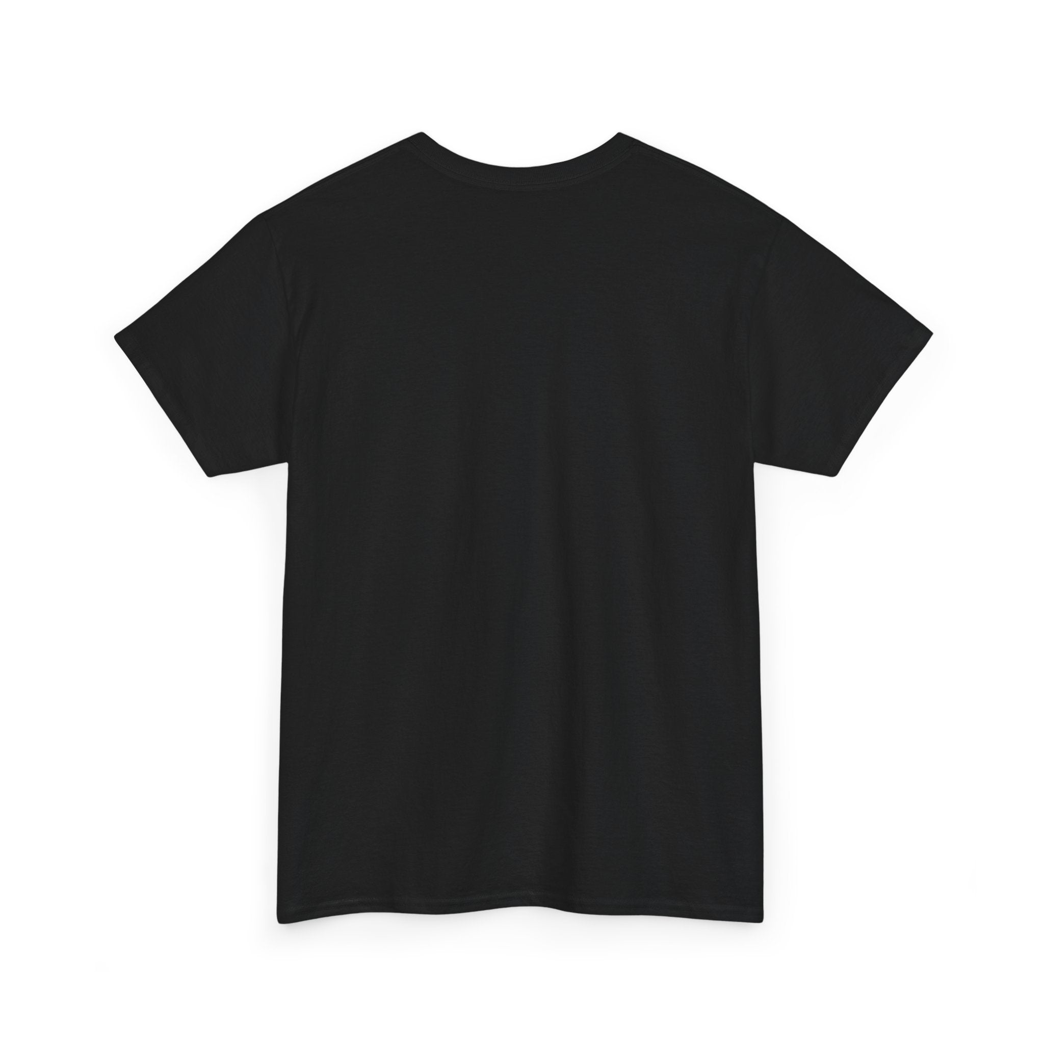 Da Vinci Unisex Heavy Cotton Tee